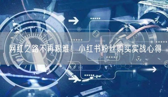 网红之路不再艰难！小红书粉丝购买实战心得