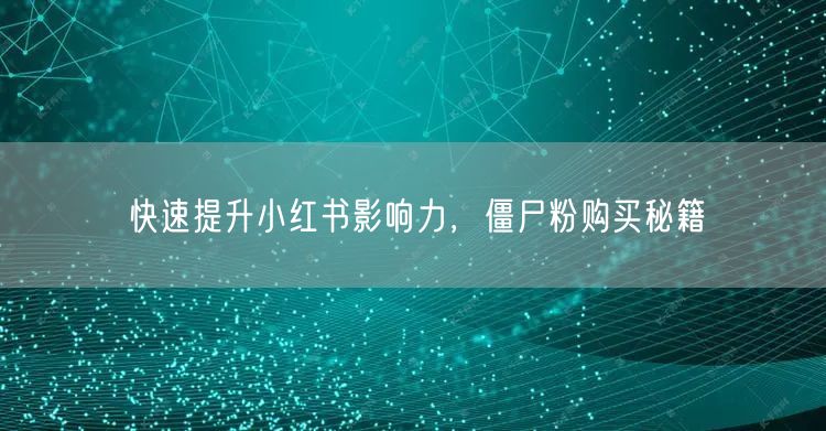 快速提升小红书影响力，僵尸粉购买秘籍