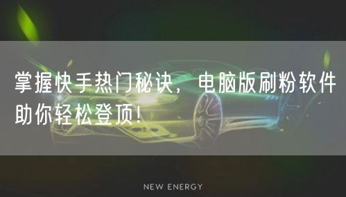 掌握快手热门秘诀，电脑版刷粉软件助你轻松登顶！