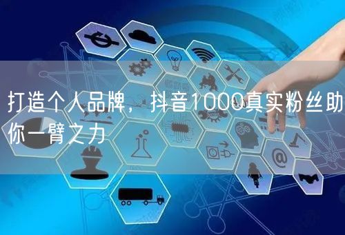 打造个人品牌，抖音1000真实粉丝助你一臂之力