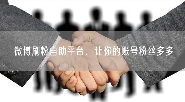微博刷粉自助平台，让你的账号粉丝多多