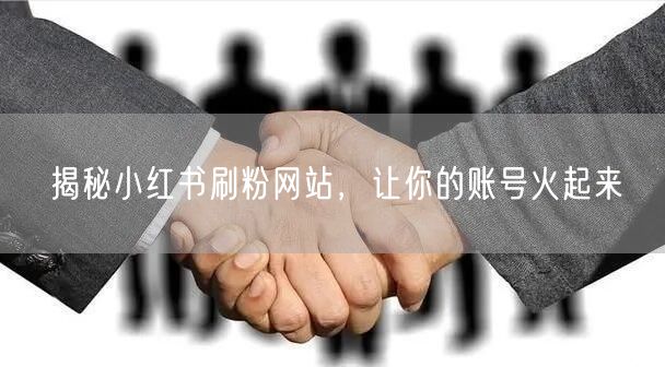 揭秘小红书刷粉网站，让你的账号火起来